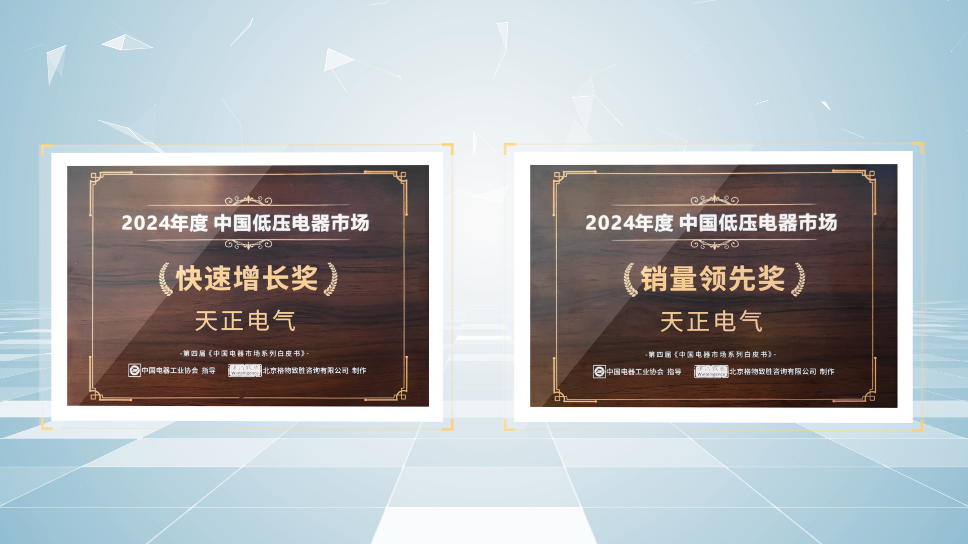 销量领先、快速增长丨mg冰球突破荣膺2项行业年度大奖